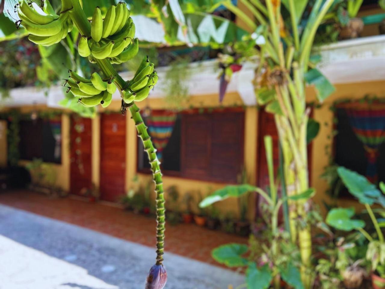 Hotel Casa Del Mar Mazunte Santa María Tonameca Kültér fotó